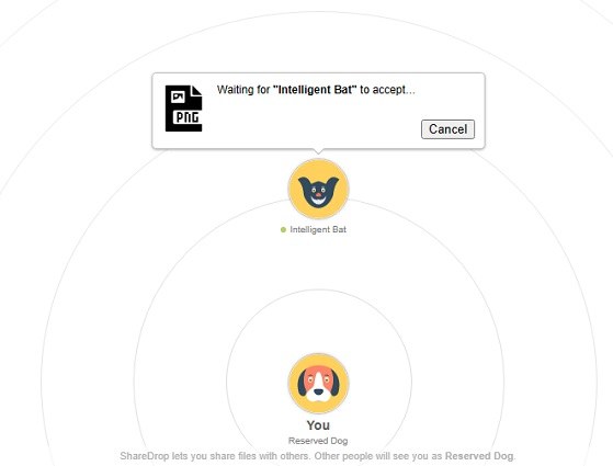 how to use sharedrop
