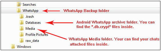 whatsapp backup extractor android