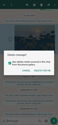 delete WhatsApp message