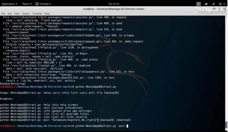 extract whatsapp data from google drive