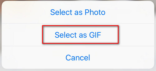 How to create and share GIF within WhatsApp 