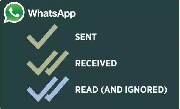 whatsapp check marks in chat