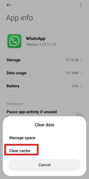 clear cache