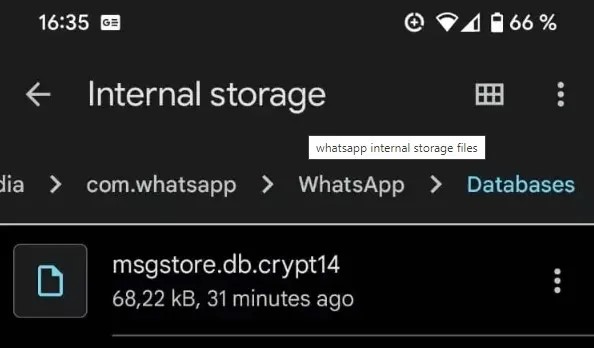 mangueira os arquivos de backup
