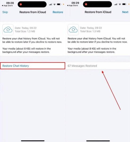 recovering the deleted audio files icloud backup