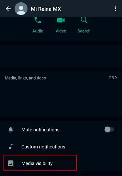 stop the auto-downloading for specific chats android