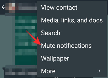 what happens when i mute someone on whatsapp