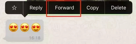 forward message on whatsapp