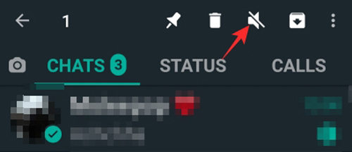 if i mute someone on whatsapp what happens