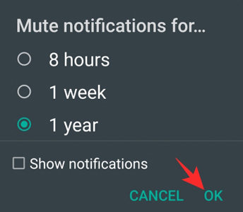 what happens if you mute someone on whatsapp